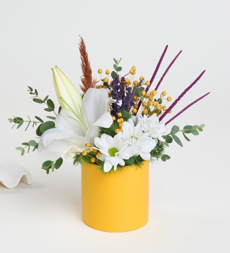  Sarı Saksıda Beyaz Lilyum ve Beyaz Papatyalar Zambak