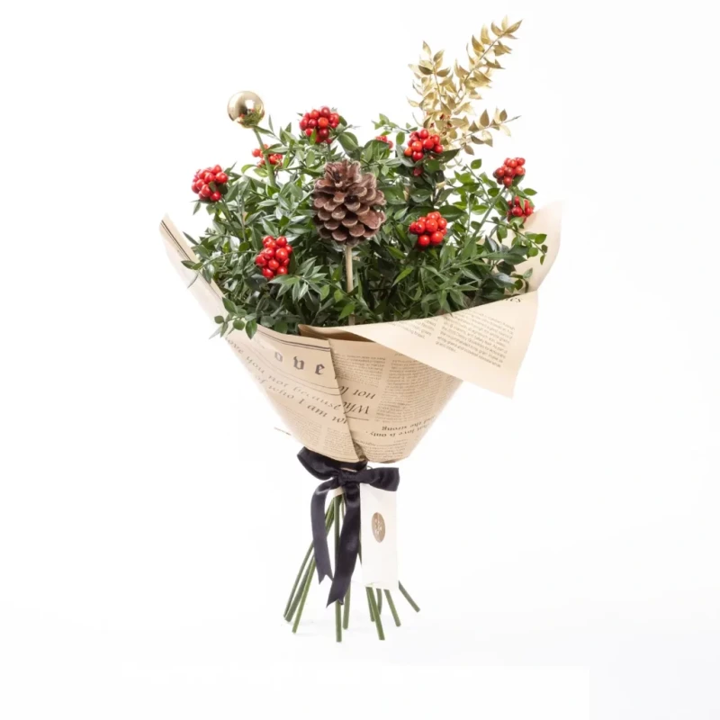 Kokina Double çobanpüskülü