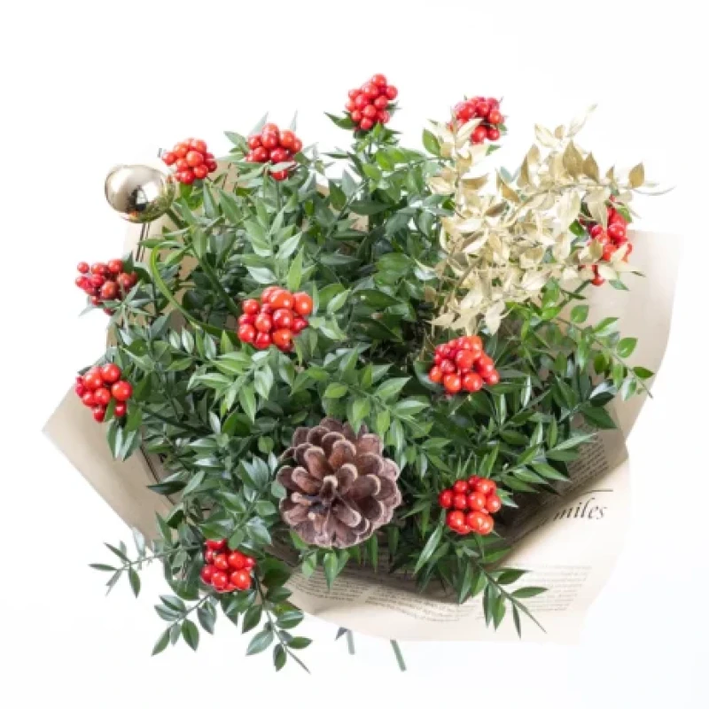 Kokina Double çobanpüskülü