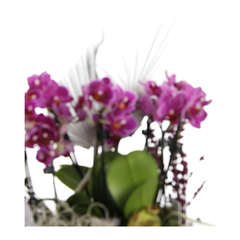 Happy Birthday Lovepop