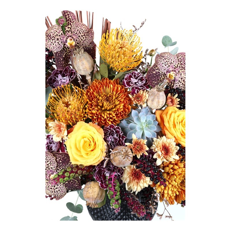 Black Of Simple Arrangement