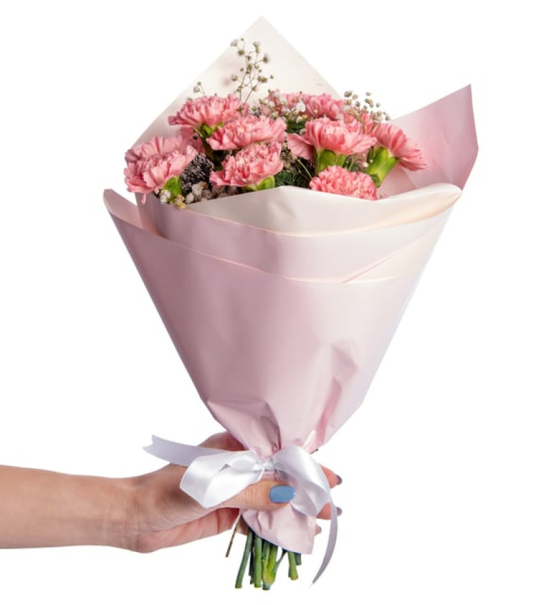 Pudra Bukette Pembe Karanfiller ve Cipsolar